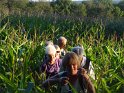 2014-09-15 19-16-05 Retour a travers les mais DLe